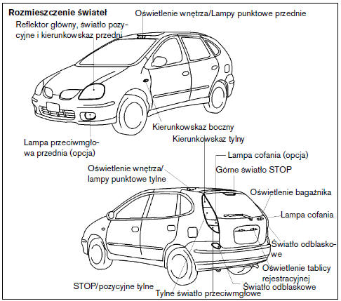 Nissan Almera Tino: Pozostałe Światła - Żarówki - Czynności Wykonywane Samodzielnie